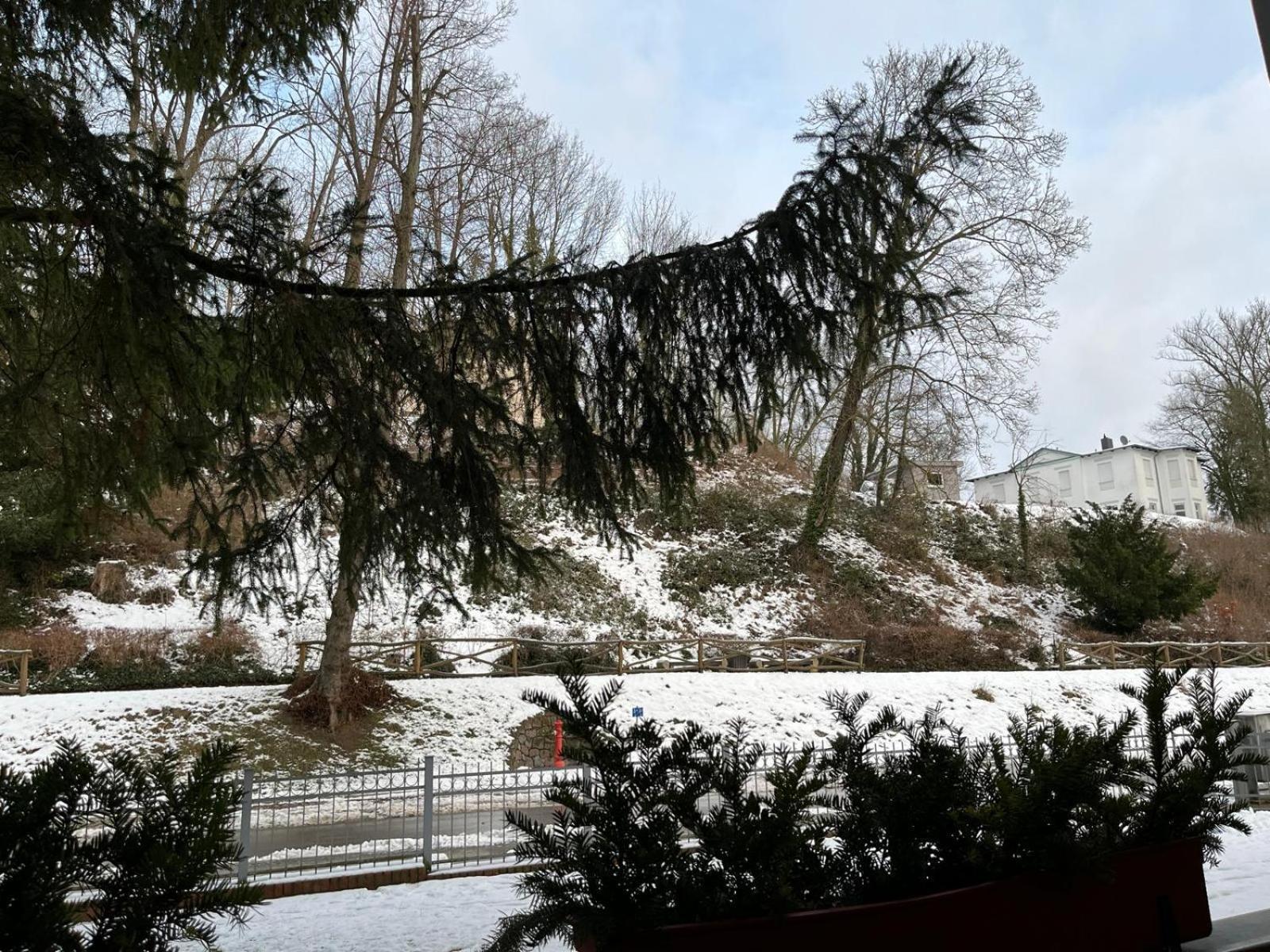 Villa Regina Bad Freienwalde Δωμάτιο φωτογραφία