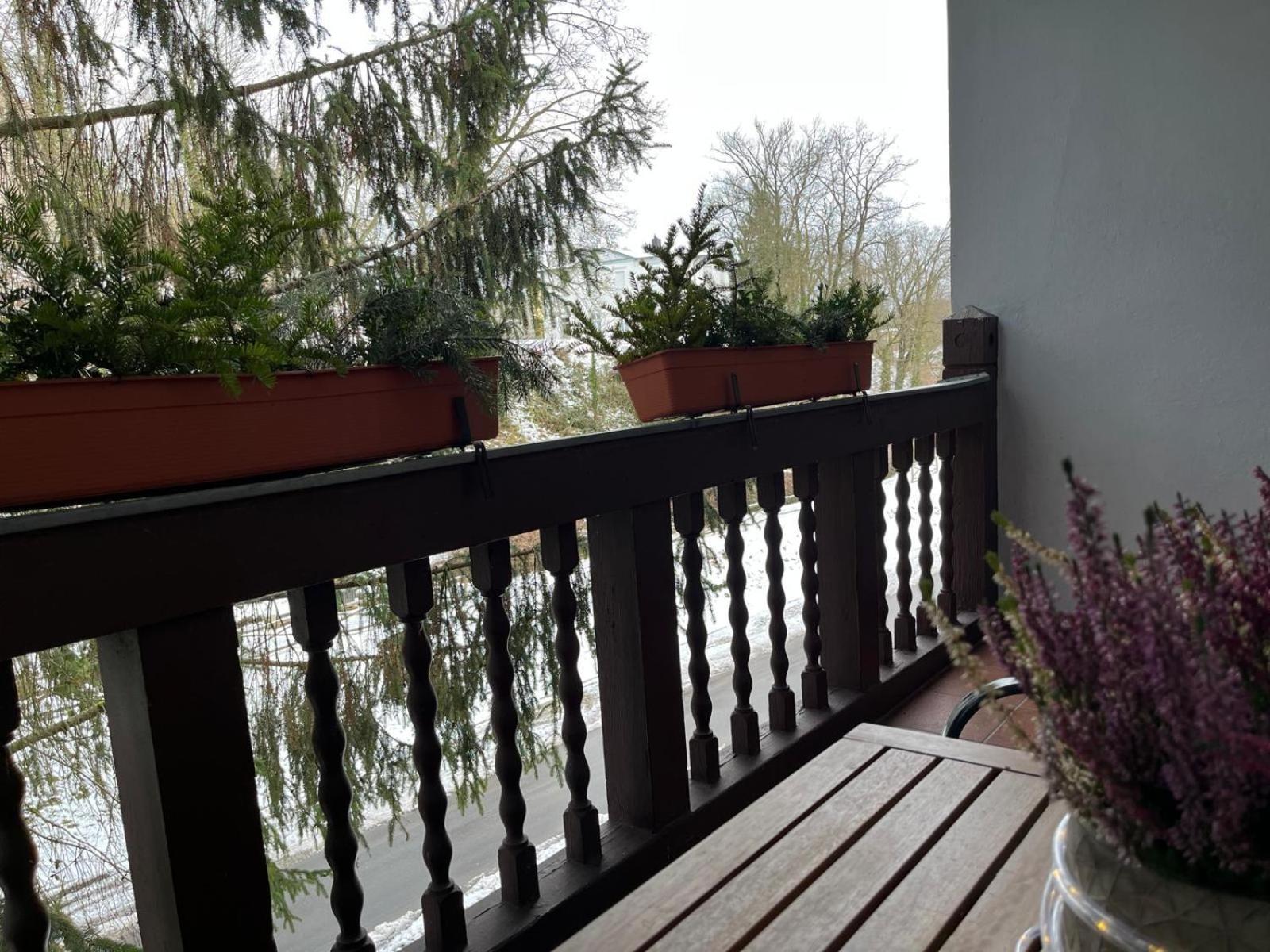 Villa Regina Bad Freienwalde Εξωτερικό φωτογραφία