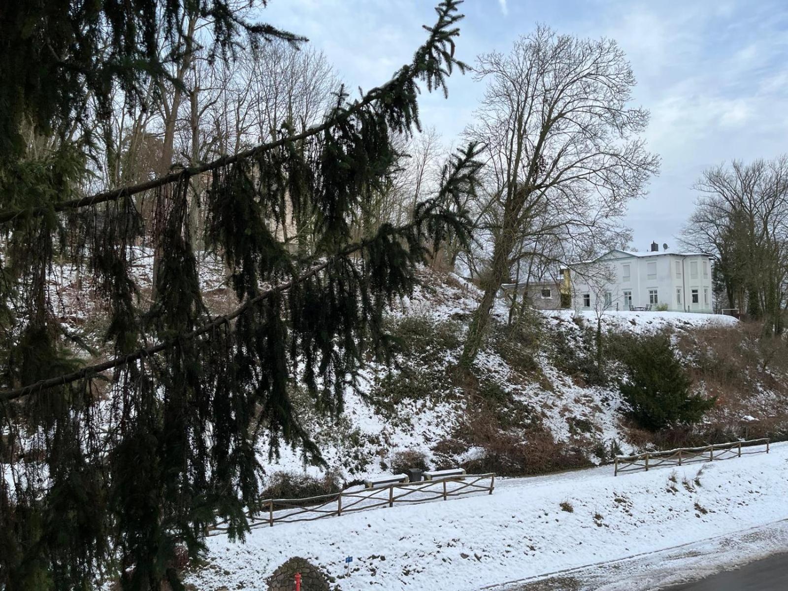 Villa Regina Bad Freienwalde Εξωτερικό φωτογραφία